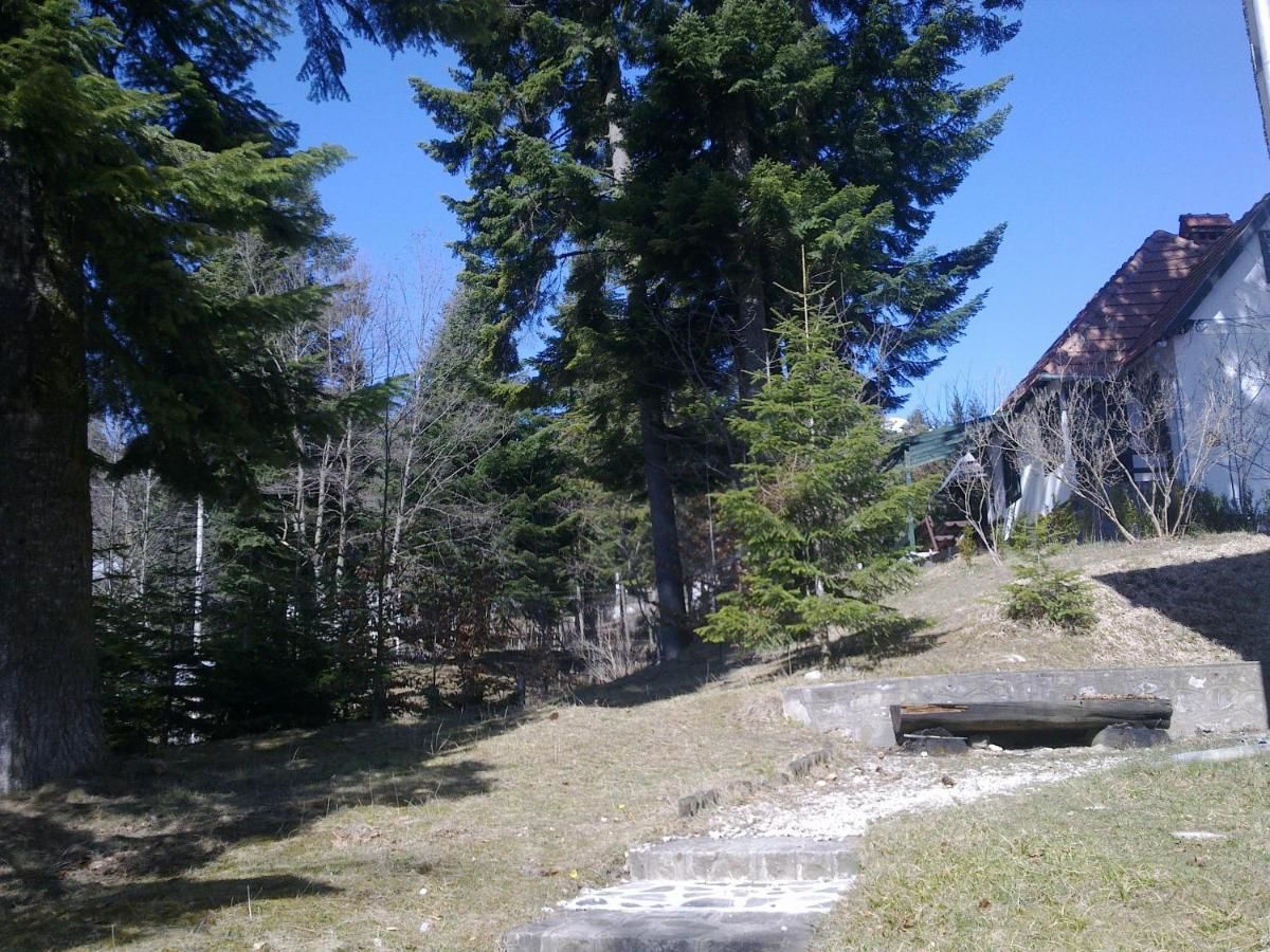 Дома для отпуска Casa Gabriela Синая