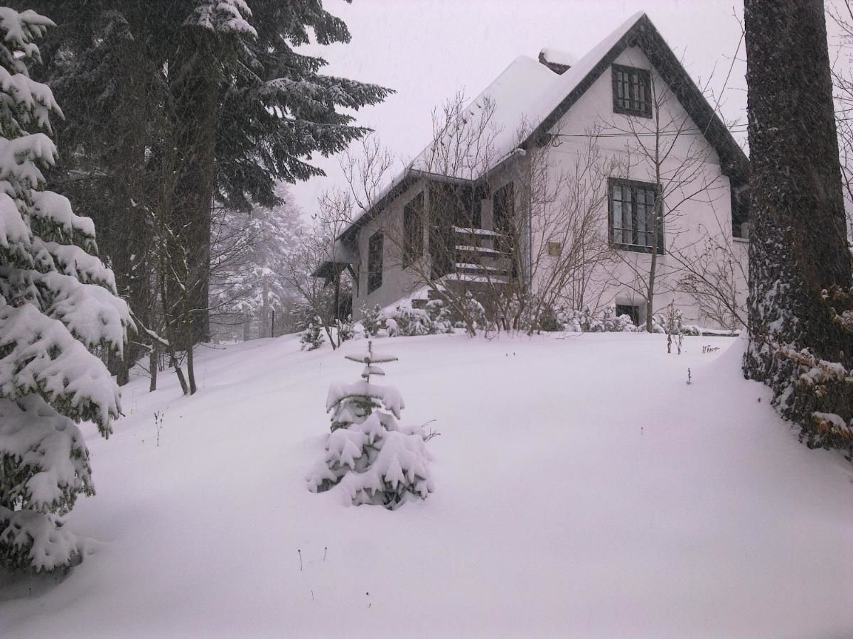 Дома для отпуска Casa Gabriela Синая