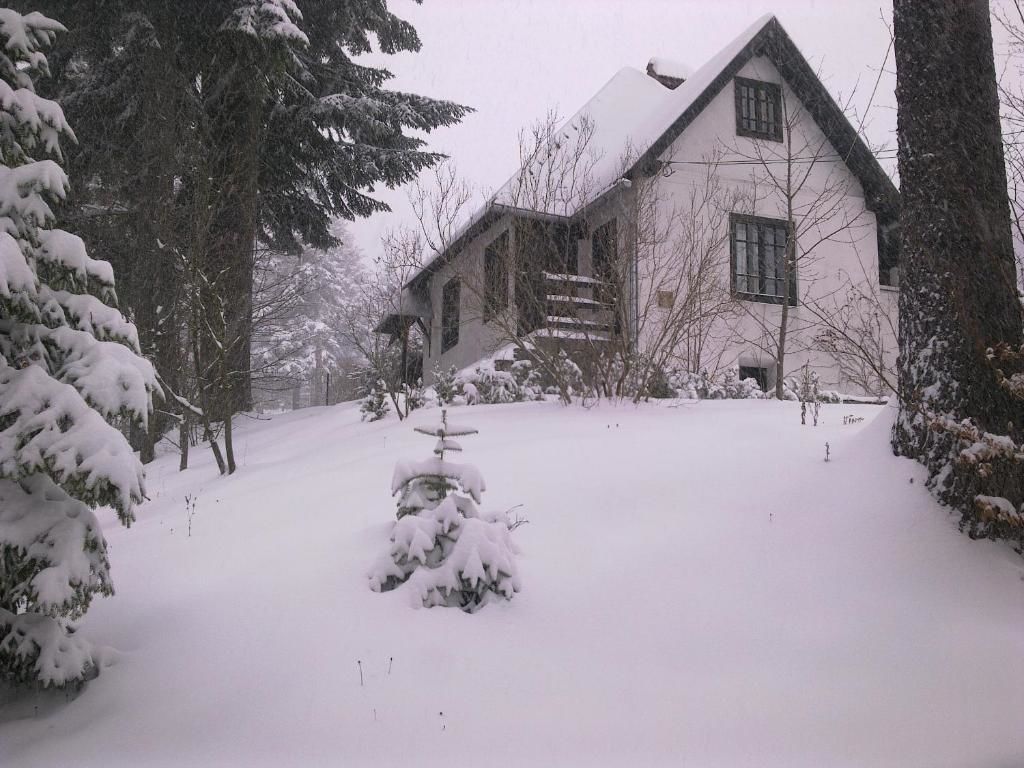 Дома для отпуска Casa Gabriela Синая