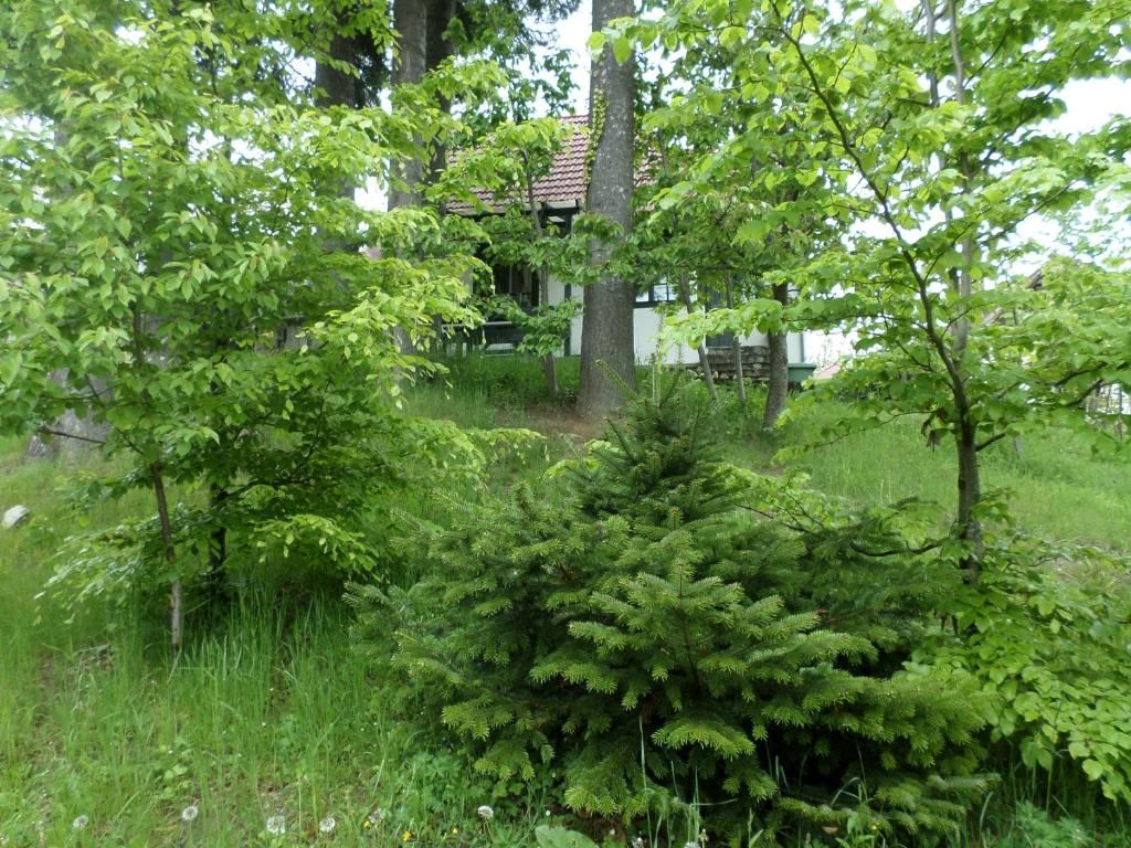 Дома для отпуска Casa Gabriela Синая