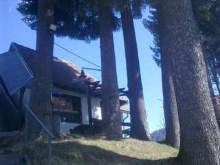 Дома для отпуска Casa Gabriela Синая Дом с 3 спальнями-27