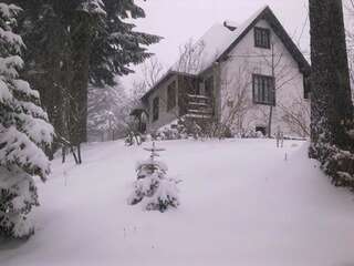 Дома для отпуска Casa Gabriela Синая Дом с 3 спальнями-31