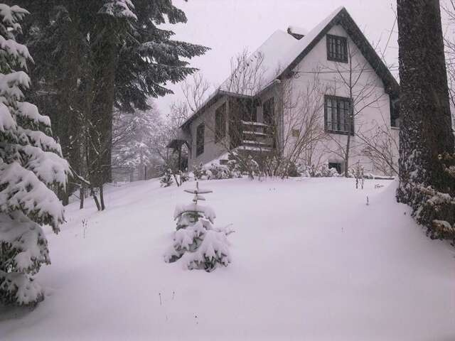 Дома для отпуска Casa Gabriela Синая-32