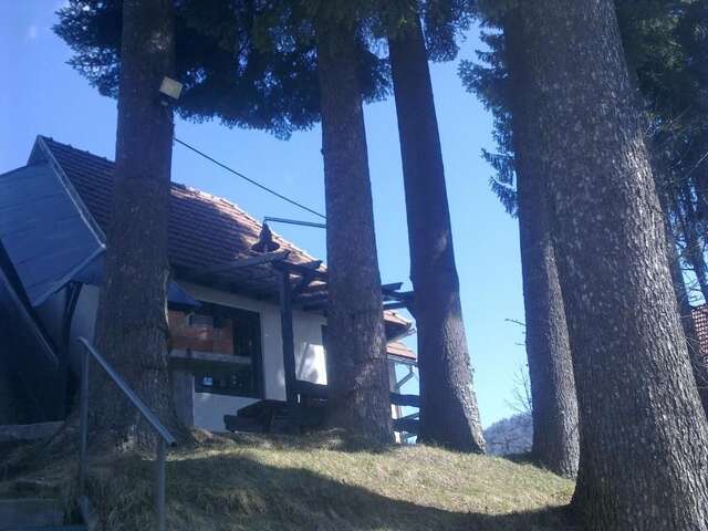 Дома для отпуска Casa Gabriela Синая-36